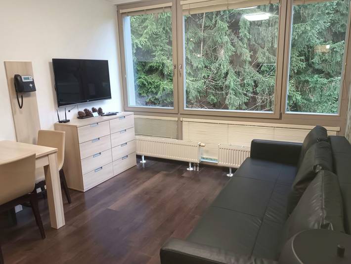 Ferienwohnung für 4 Personen, mit Balkon in Harrachov - 4