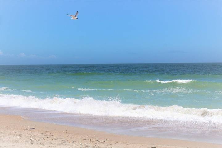 Holiday rental for 6 people, with balcony and pool, with pets in Amelia Island