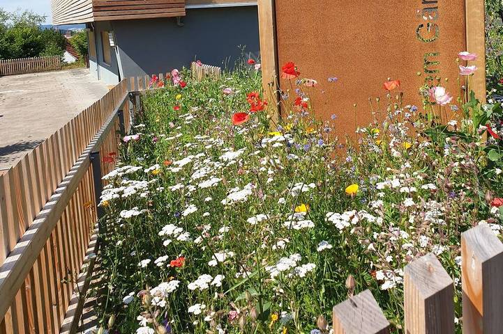 Ferienwohnung für 4 Personen, mit Balkon in Meinhard