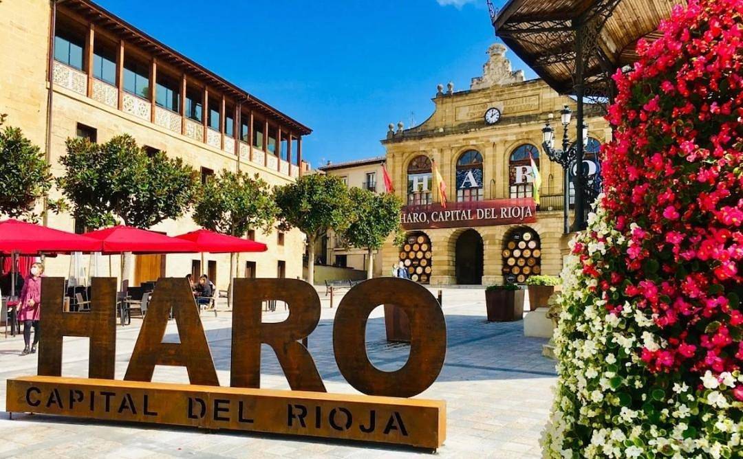 Apartamento entero, El Tesoro de Baco in Haro, La Rioja
