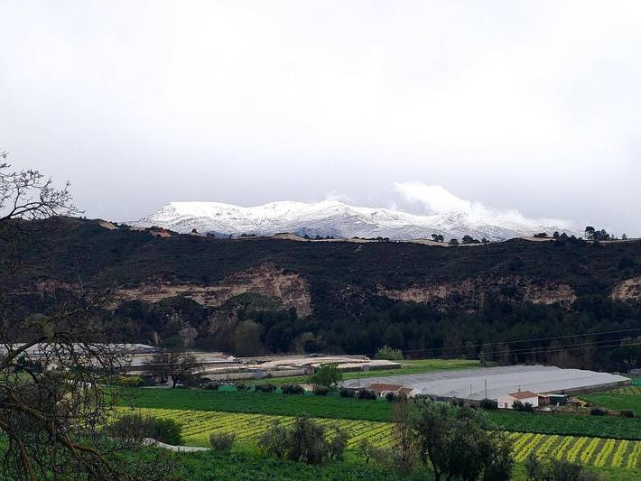 Casa rural para 3 personas, con jardín y vistas en Alhama - 2