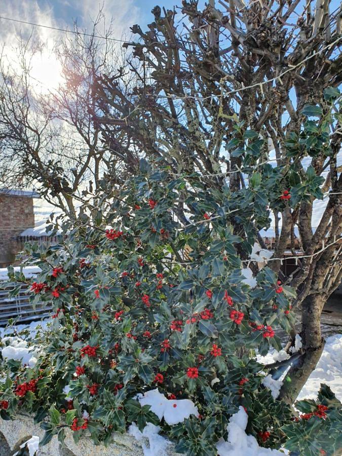 Casa rural para 10 personas, con jardín y vistas en Hermandad de Campoo de Suso - 4