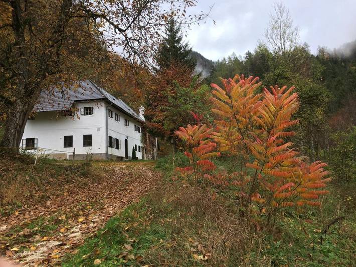 Ferienhaus für 8 Personen, mit Sauna und Terrasse sowie Ausblick, mit Haustier
