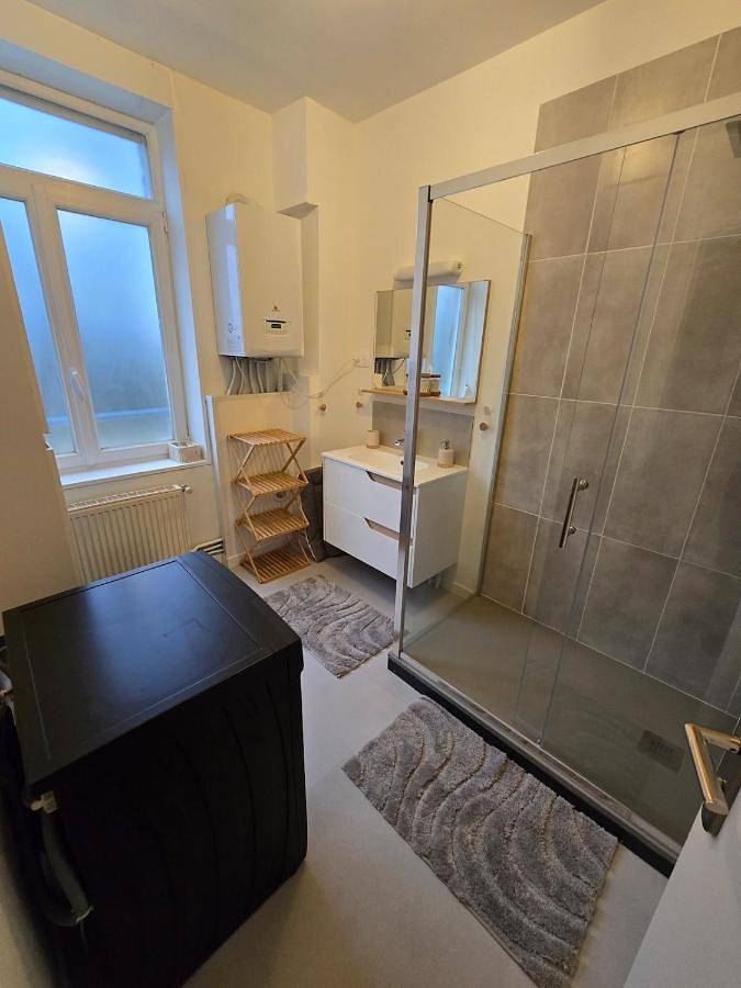 Appartement entier, Appartement Spacieux 4 Chambres in Flers-en-Escrebieux, Département Nord