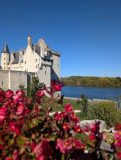 Hôtel pour 2 personnes, avec terrasse et jardin à Montsoreau - 3