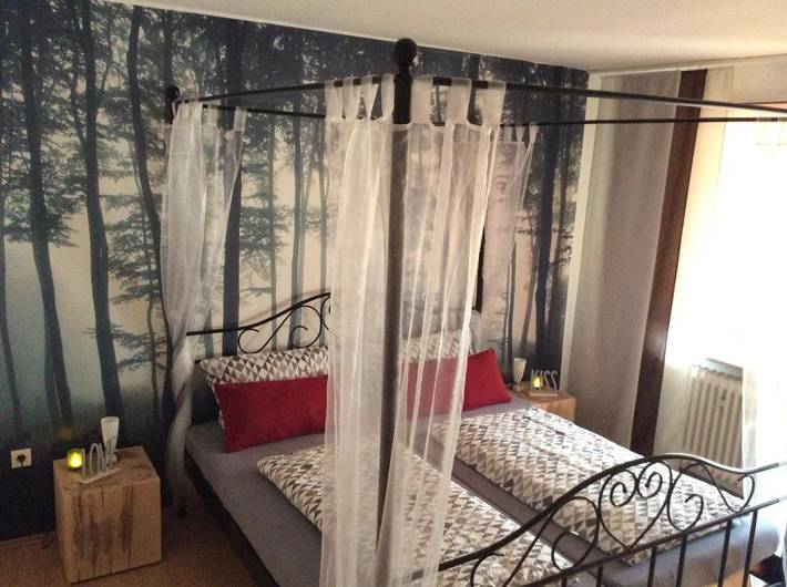 Gîte pour 8 personnes, avec vue et jardin, animaux acceptés à Trendelburg - 3