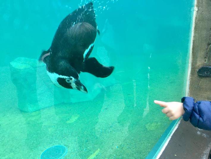 Location de vacances pour 2 personnes, avec jardin et sauna ainsi que piscine et vue, animaux acceptés à Pruniers-en-Sologne - 2