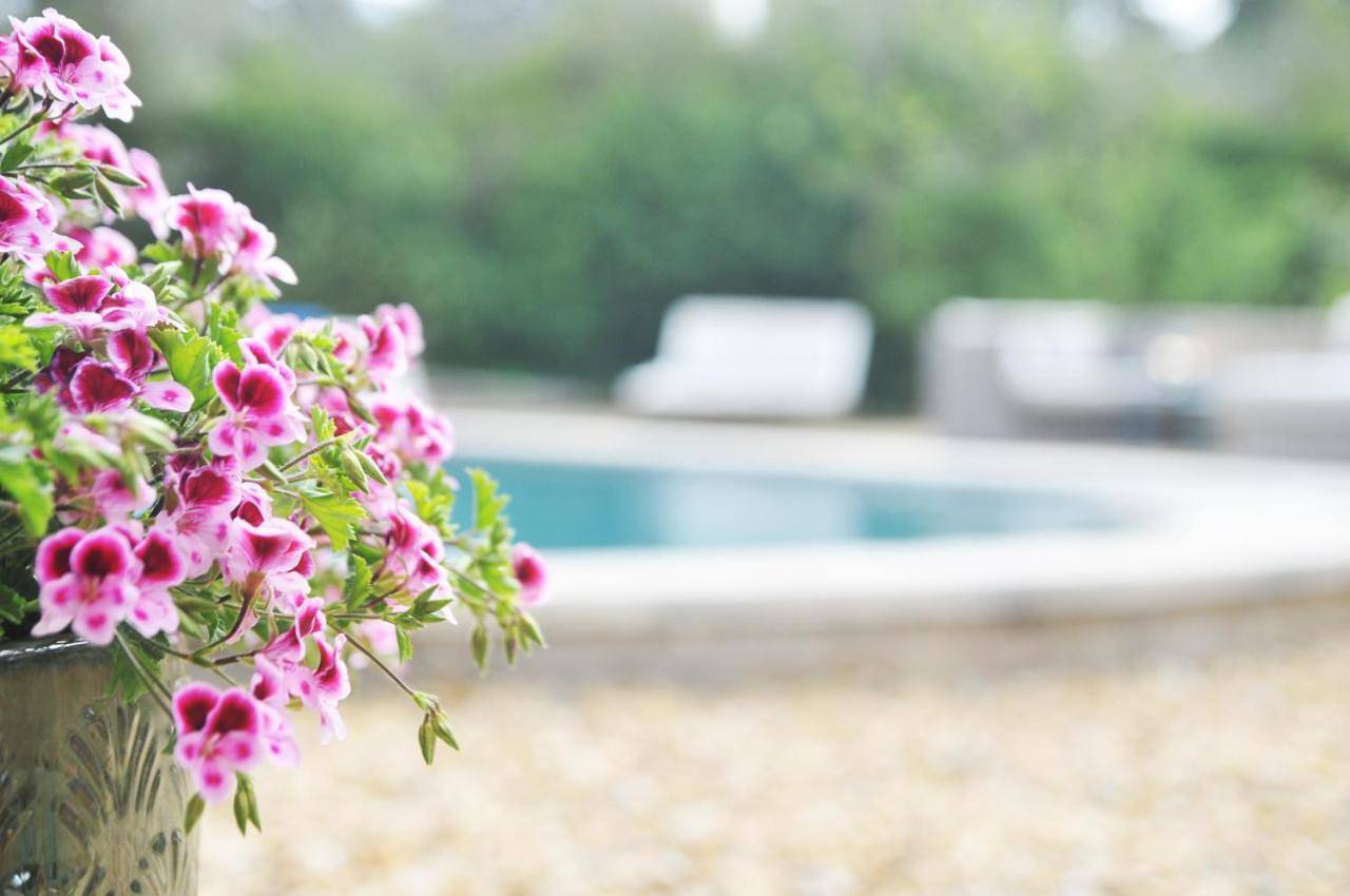 Double Room with Private Bathroom in Pernes-les-Fontaines, Vaucluse