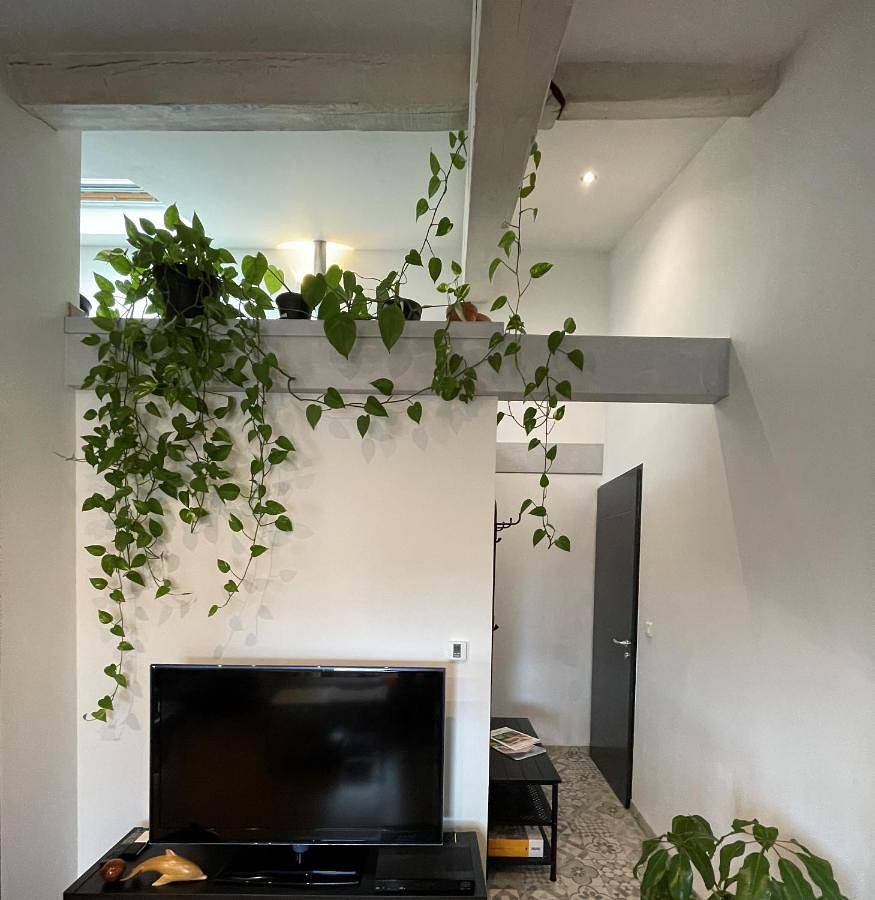 Appartement entier, T2 de 40 m2 - facile d’accès, lumineux et au calme in Saint-Genest-Lerpt, Loire