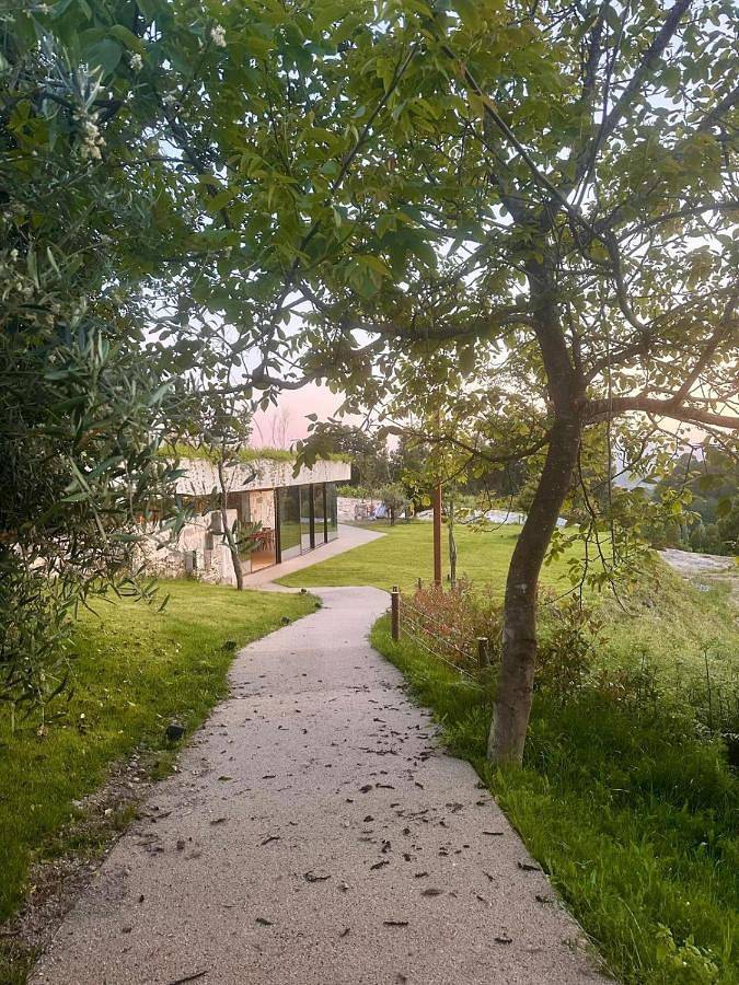 Olyva - Boutique Farm Experience in Penafiel, Distrito do Porto