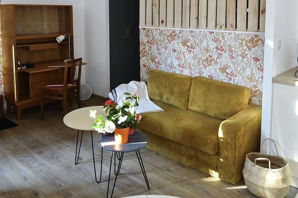 Entire apartment, Quiet apartment at the foot of the castle! promenade along the river gave, pking 5 mn in Pau, Béarn