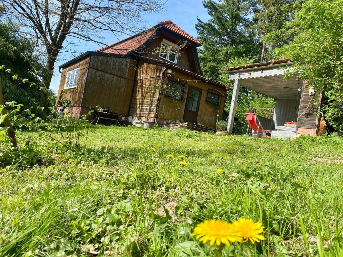 Bienenhaus Van Sonnensee in Ritzing, Bezirk Oberpullendorf