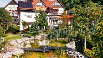 Gîte pour 2 personnes, avec jardin et piscine, animaux acceptés dans Ibbenburen