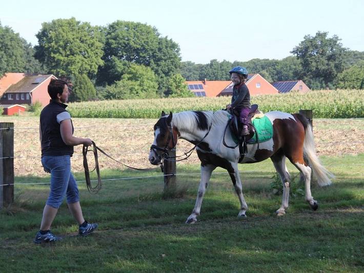 Bauernhof für 4 Personen, mit Pool und Garten im Münsterland - 4