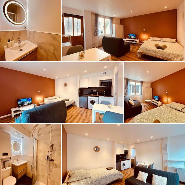 Gîte pour 4 personnes, animaux acceptés à Saint-Florent-sur-Cher - 2