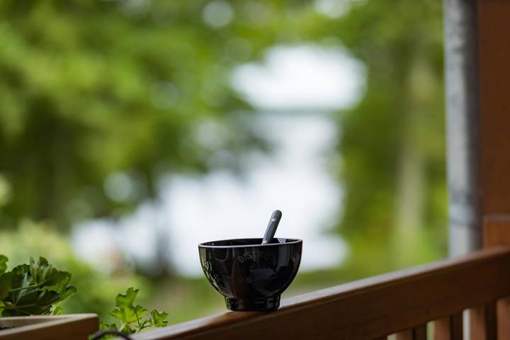 Gîte pour 4 personnes, avec jardin dans Réserve naturelle du Courant d'Huchet - 2
