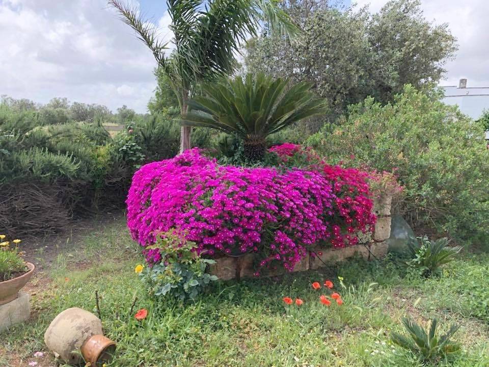 Curti Russi in Monteroni di Lecce, Provincia di Lecce