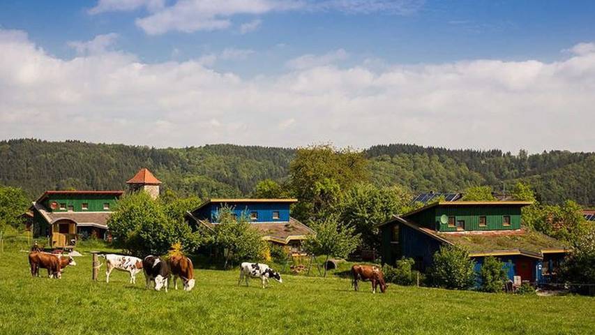 Ferienhaus für 8 Personen, mit Terrasse und Garten am Edersee - 3