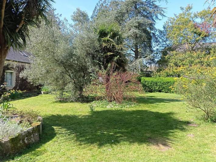 Hôtel pour 3 personnes, avec Terrasse et Jardin