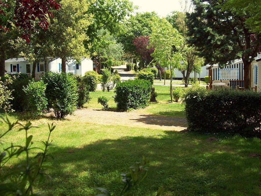 Camping Le Roc  - Mobilheim 2 personen - Mobilheim Essentiel Aubraie - 1 Schlafzimmer in Vairé, Loire-Tal