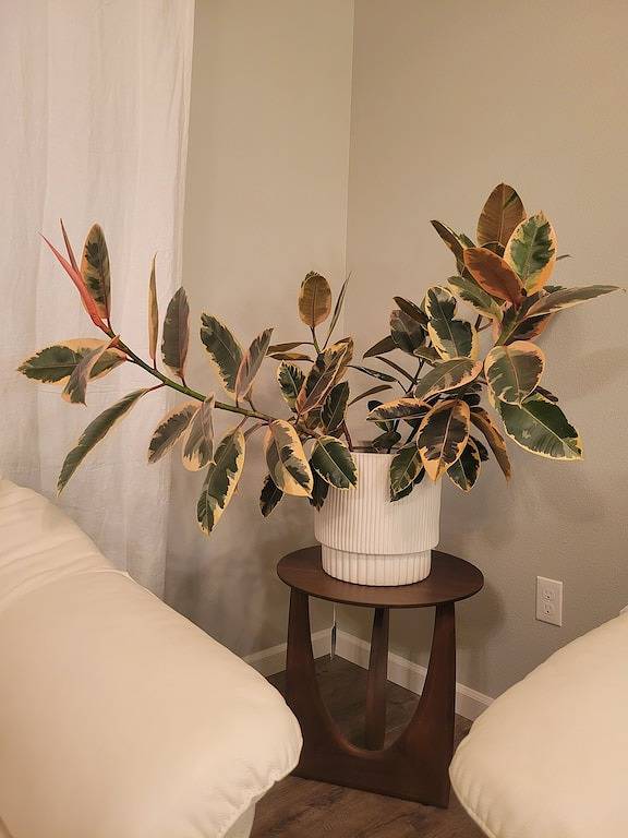 Entire home 3B/3B 2356 sq.ft in Everett, Mount Baker-Snoqualmie Nationalwald