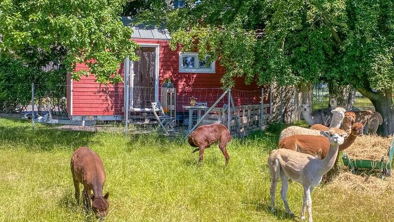 Ferienhaus für 4 Personen (21 m²) in Rubkow in Rubkow, Vorpommern Greifswald