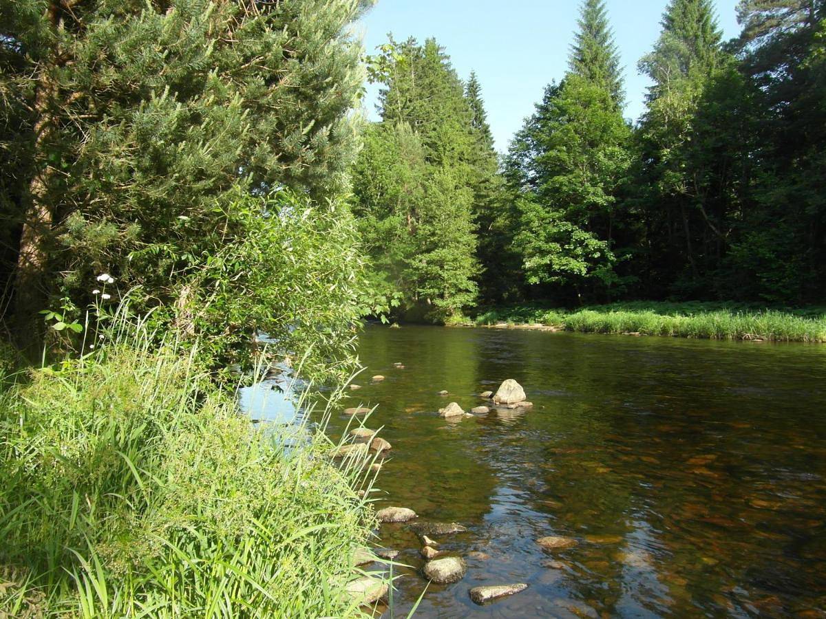 Maringotka Otavěnka na Šumavě in Langendorf, Nationalpark Böhmerwald