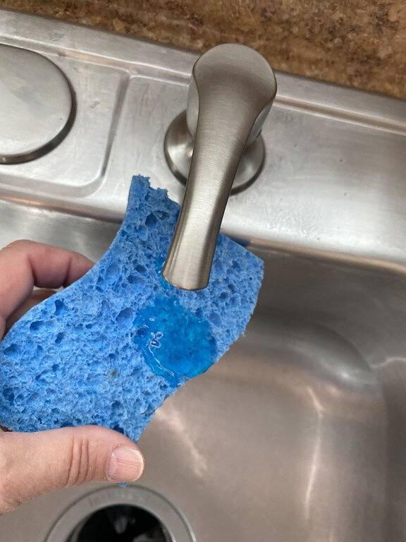 Ganze Wohnung, Fireside Ranch of Romeo in Macomb County