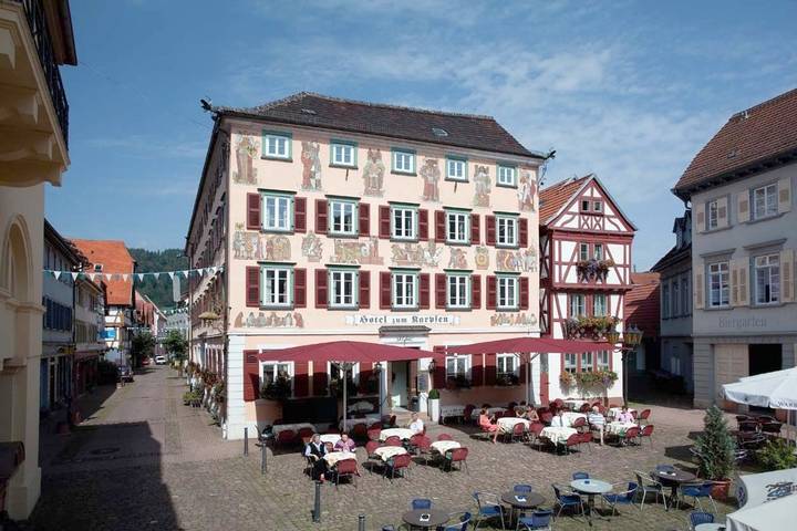 Hotel für 3 Personen, mit Terrasse, mit Haustier in Eberbach