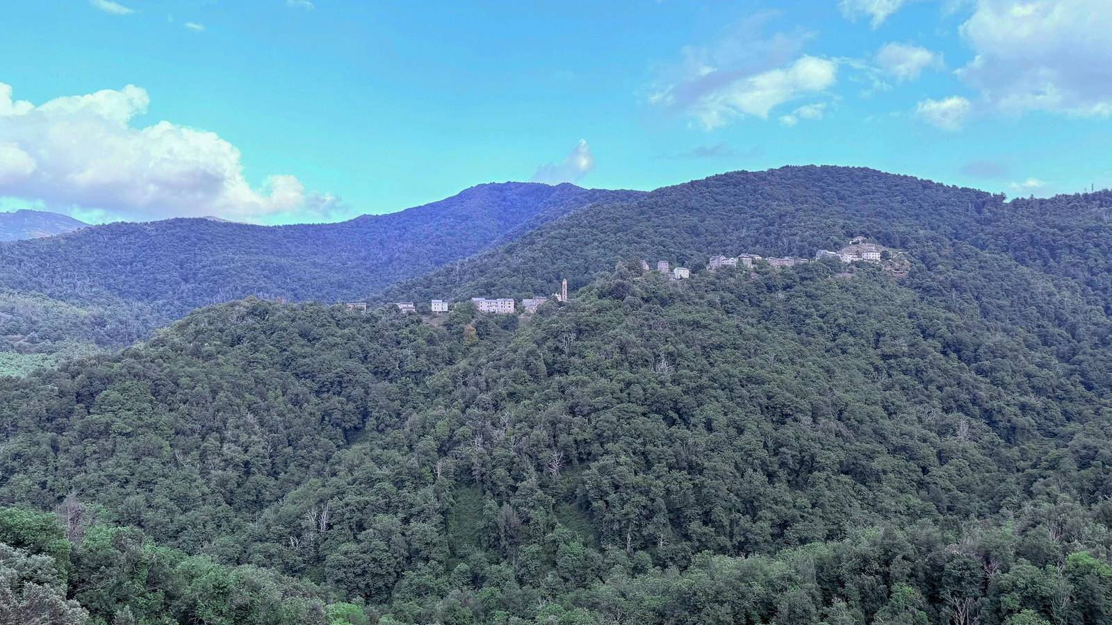 Anwesen mit Gemüsegarten in Castagniccia in Borgo, Bastia und Umgebung