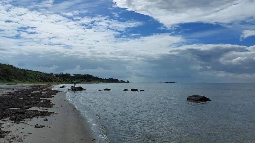 Strandhaus für 6 Personen, mit Terrasse, mit Haustier in Dänemark - 4