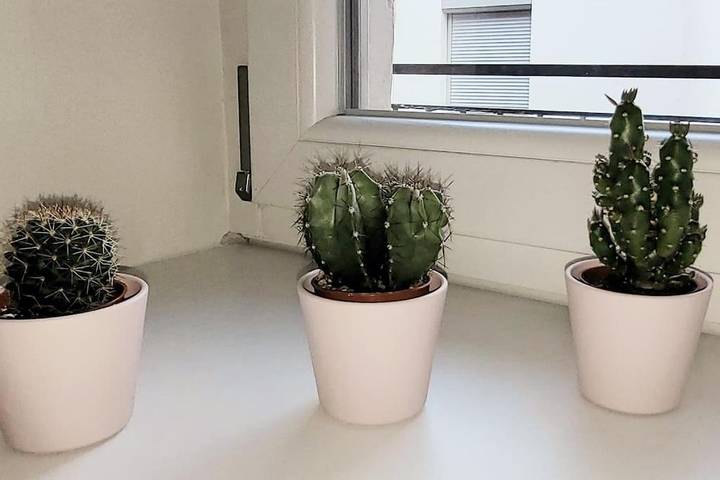 Gîte pour 4 personnes, avec terrasse dans Office de Tourisme de Lons le Saunier - 3