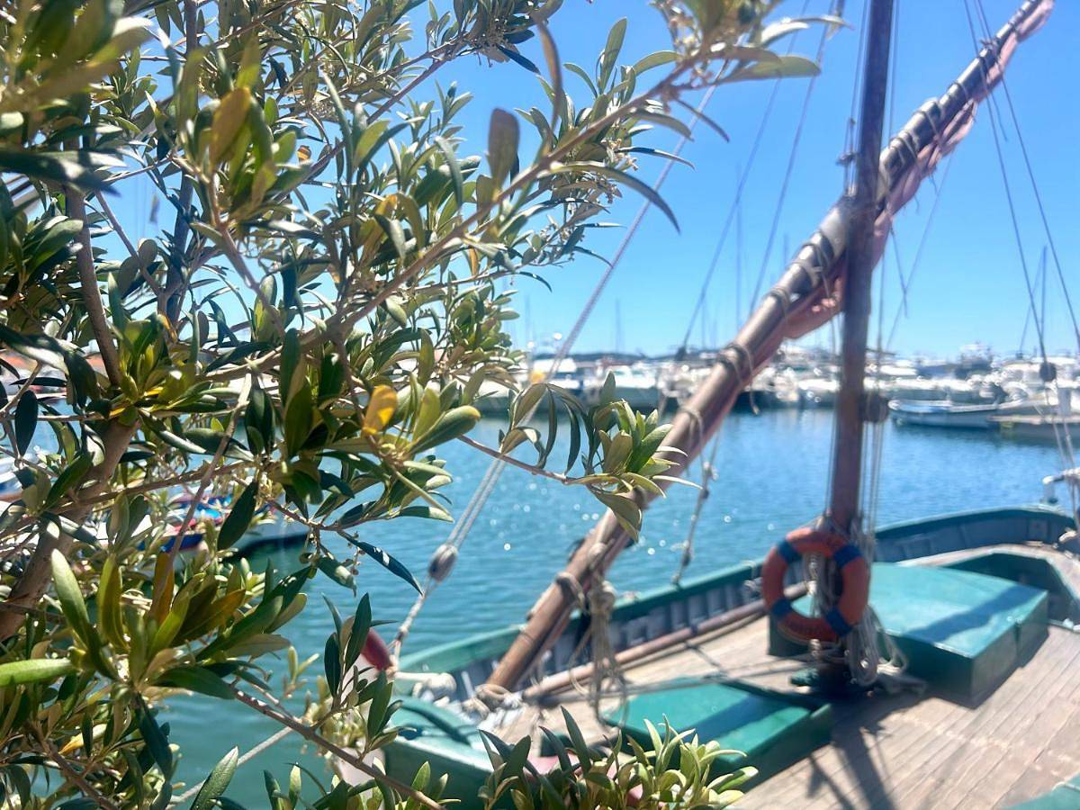 Maison Bobleu in Bandol, Région de Toulon