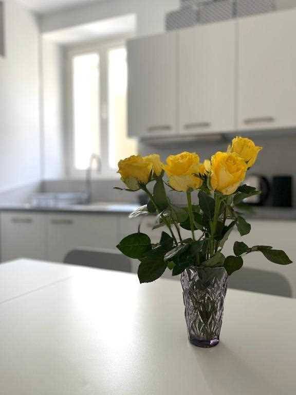 Ganze Wohnung, Ferienwohnung für 3 Personen in Koper, Slowenische Riviera