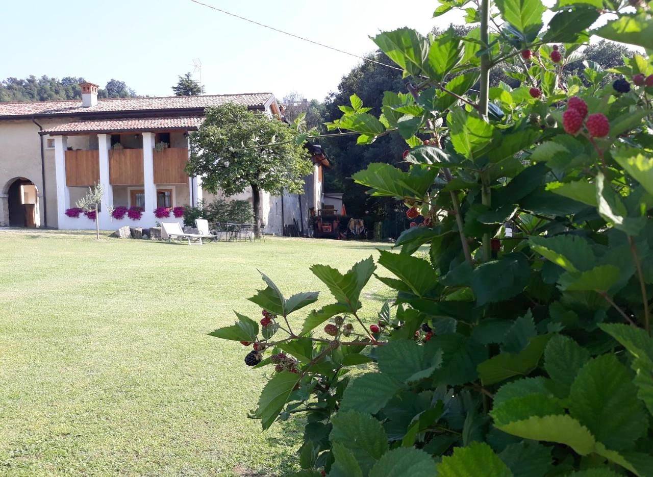 Agriturismo la Scala in Salò, Prealpi Gardesane