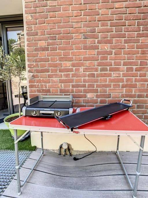 Gîte pour 8 personnes dans Hortillonnages d'Amiens - 2