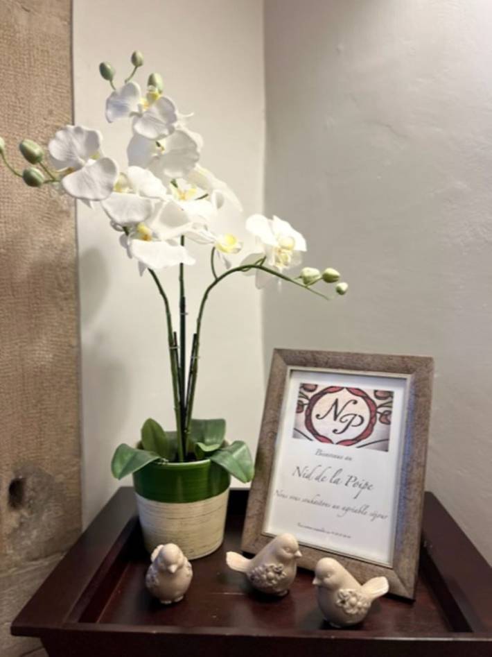 Gîte pour 5 personnes, avec jardin et terrasse dans l' Ain - 3