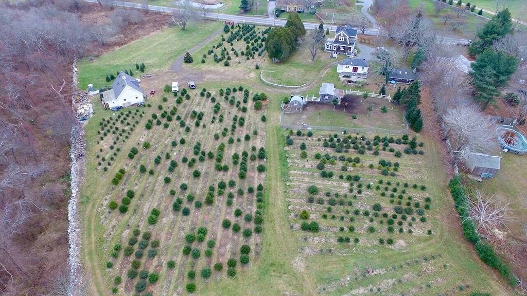Urige Hütte auf Arbeits Weihnachtsbaum-Bauernhof in Se Küsten Rhode Island in Newport County