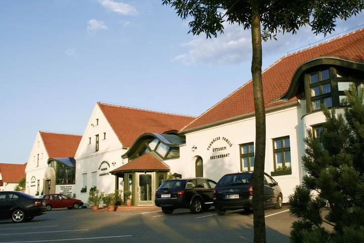 Hotel voor 4 personen, with terras and tuin as well as sauna, met huisdier in Hongarije