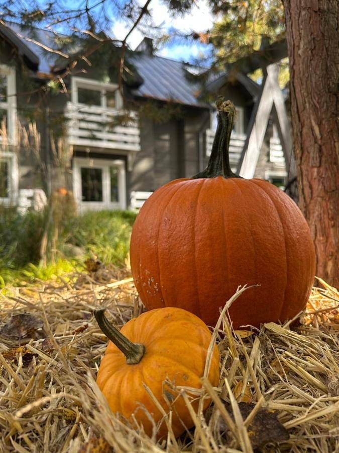 Apartament wakacyjny dla 5 osób, z ogród w Dębki