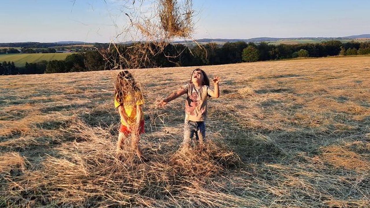 Ganze Ferienwohnung, Ferienwohnung für 6 Personen (114 m²) in Hohnstein in Hohnstein, Elbsandsteingebirge