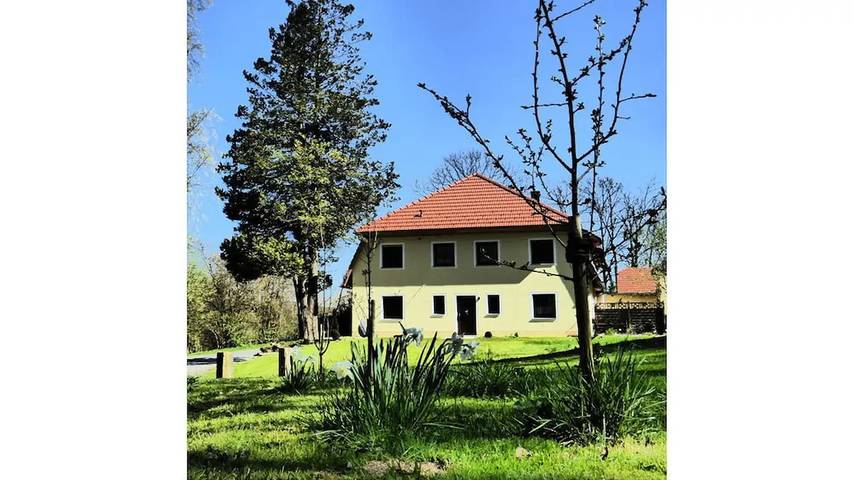 Ferienhaus für 4 Personen, mit Terrasse und Sauna, mit Haustier in Furth im Wald - 2