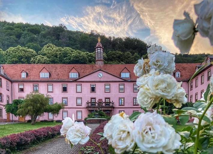 Hôtel pour 2 personnes, avec jardin à Oberbronn - 3