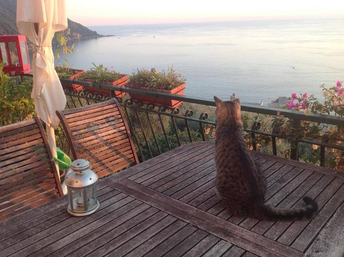 Chambre d’hôte pour 2 personnes, avec Balcon ainsi que Terrasse et Vue