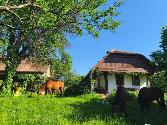 Ferienhaus für 3 Personen, mit Terrasse und Garten sowie Sauna und Ausblick in St. Peter (Ungarn)
