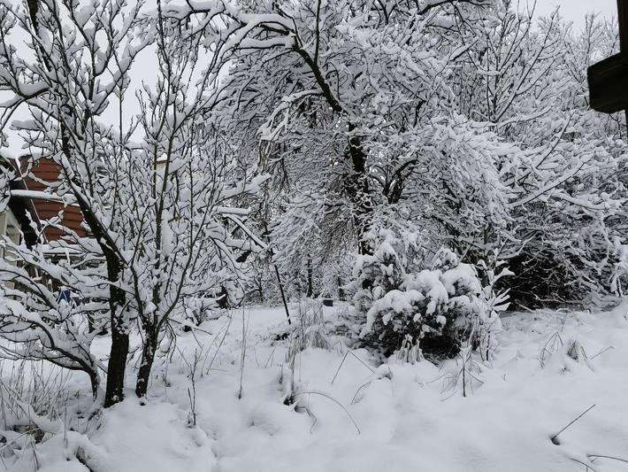 Hotel für 5 Personen, mit Garten, mit Haustier in Hohenlohe - 2