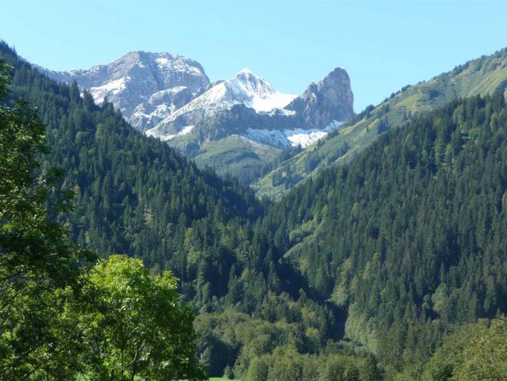 Ferienwohnung für 2 Personen, mit Balkon und Garten, kinderfreundlich in Schoppernau - 2