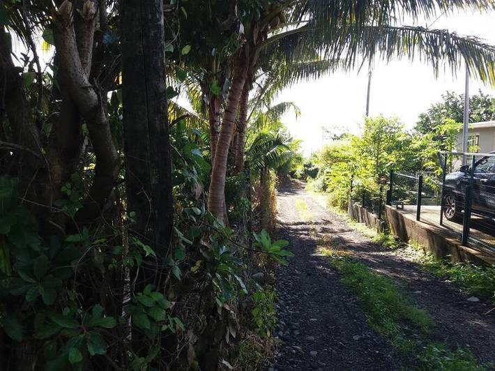 Location de vacances pour 9 personnes, avec jardin dans Sainte-Anne (Reunion) - 3