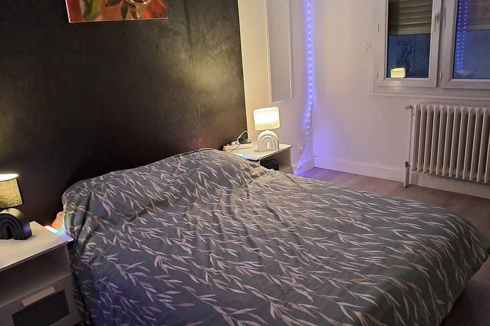 Entire apartment, Large apt4ch, 2 bathrooms ideal for families/groups/professionals: city center 8 travelers in Valence, Valence region
