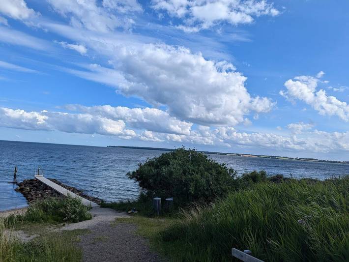 Ferienhaus für 10 Personen, mit Whirlpool und Pool sowie Terrasse, mit Haustier in Pøt Strandby - 3